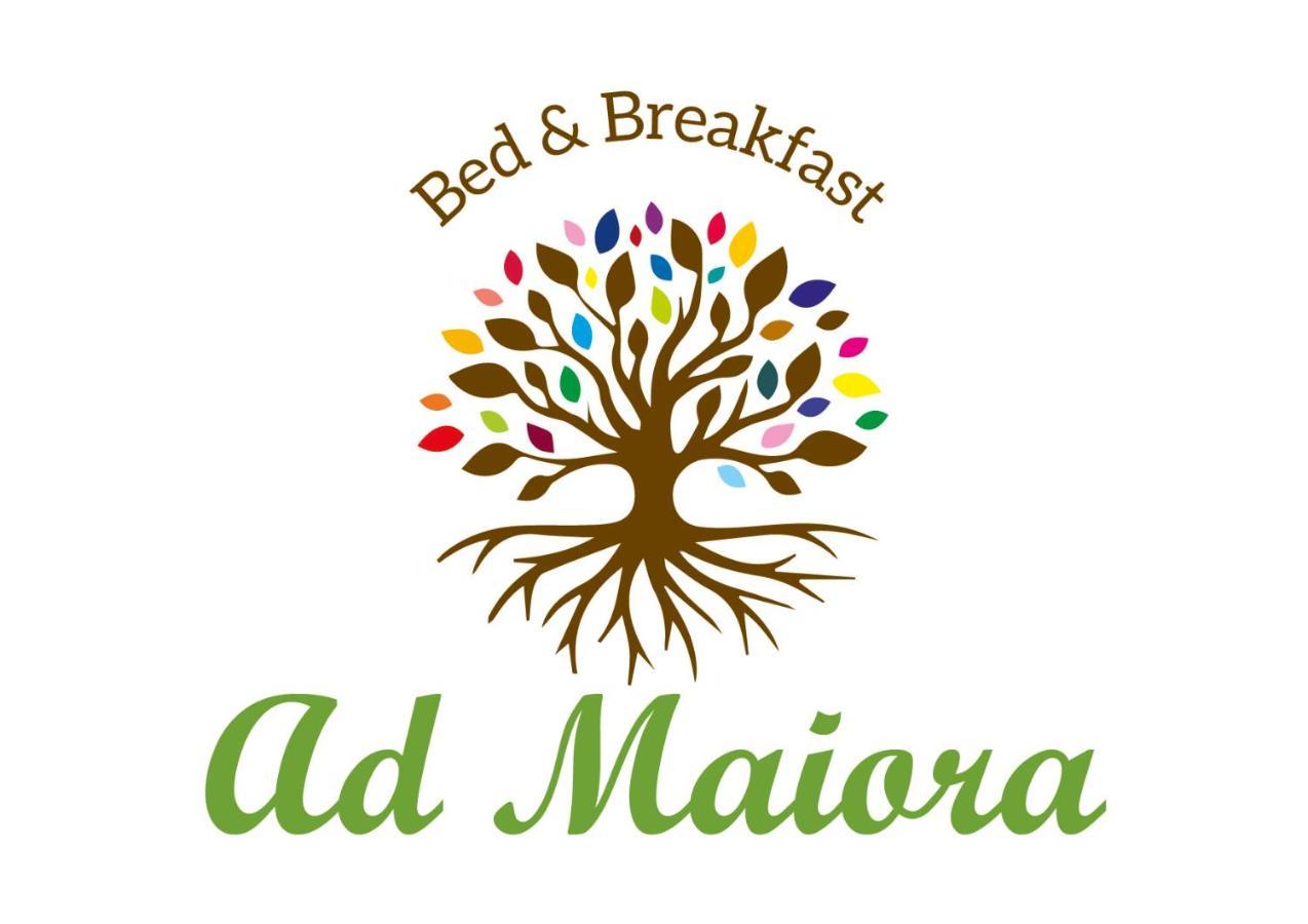 Ad Maiora B&B ซานวิโต โลคาโป ภายนอก รูปภาพ